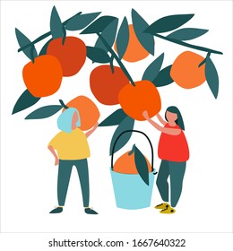 Women picking oranges vector illustration. Harvesting concept. Agritourism concept. Pick-your-own concept. Fresh fruit concept. Hand drawn illustration in abstract flat style