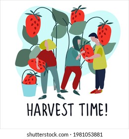 Women picking strawberries vector illustration. Harvest Time hand-lettered quote. Harvesting, agritourism concept. Pick-your-own concept. Hand drawn illustration in abstract flat style
