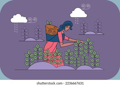 Women plucking tea leaf from the field