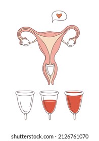 Women reproductive system with menstrual cup. An image of the uterus. Vector illustration background doodle icons in thin line art sketch style