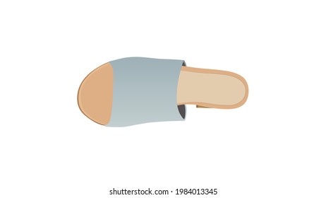 Women Shoes, Women Sandal isolated on white background