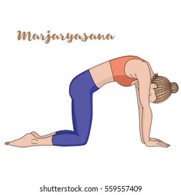 Women silhouette. Cat yoga pose. Marjaryasana. Vector illustration