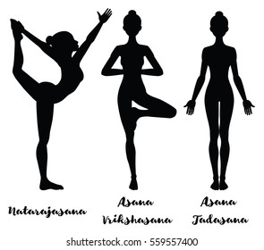 Women silhouette. Lord of the dance yoga pose. Natarajasana. Yoga mountain pose. Tadasana. .Yoga tree pose. Vrikshasana. Vector illustration