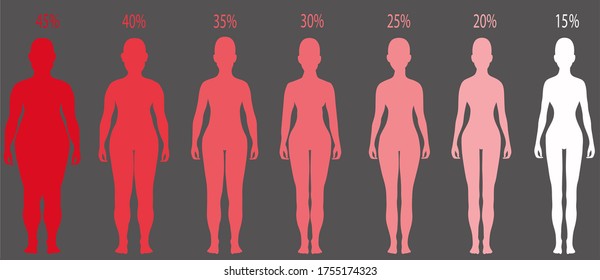 Bmi Women Stock Illustrations Images Vectors Shutterstock