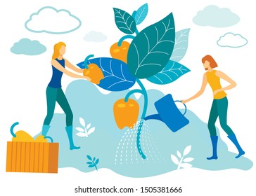 Women with Sprinkler Watering Plants. Grow Peppers on Farm. Vector Illustration. People on Farm. Natural Products. Peppers Harvest Farmland. Grow Vegetables. Woman Working in Garden. Family Business.