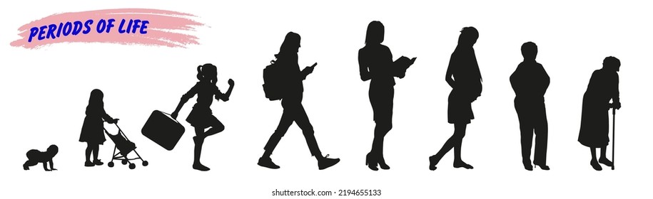 Women, stages of development, silhouettes. Life from birth to old age.