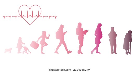 Women, stages of development. Silhouettes painted with a gradient. Life from birth to old age. ESP 10.