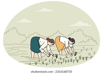 Women standing in water on plantation working on rice field. Female employees farming on organic farmland. Agriculture and manual labor. Vector illustration.