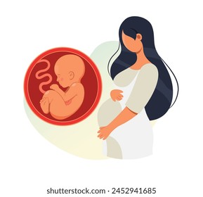 Women with Third Trimester Pregnancy Fetus - Stock Illustration as EPS 10 File