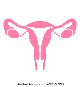 Women uterus and ovary icon isolated on white background