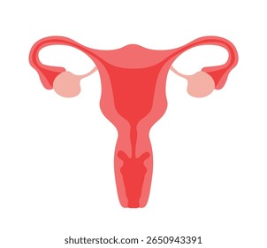 mulheres do útero e ovário, mulheres do sistema reprodutor
