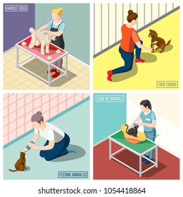 Women volunteers during feeding animals, washing cats, grooming dog isometric design concept isolated vector illustration