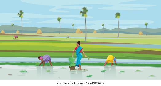 Women are working in agricultural land - Illustration