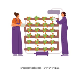 Women working on vertical farm flat vector illustration isoltaed on white. Strawberry production using hydroponics.