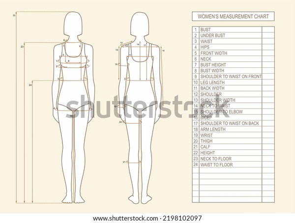 Womens Body Measurement Chart Sewing Clothing Stock Vector (Royalty ...