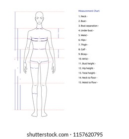 Woman Body Measurement Chart Scheme Measurement Stock Vector (Royalty ...