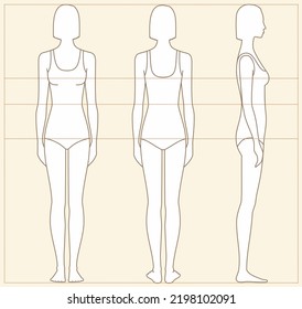 Womens Body Proportions Sewing Clothing Bust Stock Vector (Royalty Free ...