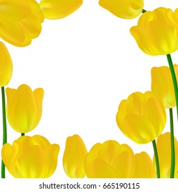 Women's Day. Background Beautiful Yellow Tulip Flowers. Lettering. Card. Banners. Flayers, Invitation, Posters, Brochure, Discount. Trendy Design Template. Bouquet. Vector illustration. Springtime