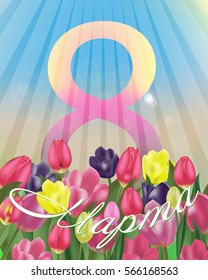 Women's Day greeting card template. Russian phrase "March 8". Background with tulips. Spring flowers. Vector Illustration.