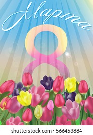 Women's Day greeting card template. Russian phrase "March 8". Background with tulips. Spring flowers. Vector Illustration.