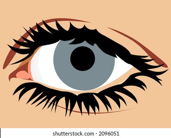 Womens Eye Stock Vector (Royalty Free) 2096051 | Shutterstock