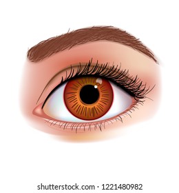 Women's Eye realistic vector illustration