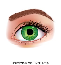 Women's Eye realistic vector illustration