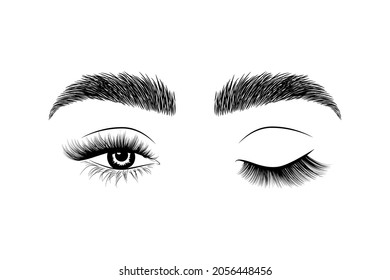 Women's eyes and brows illustration. Lashes master and brow master logo