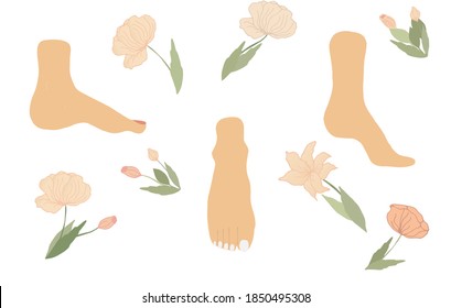 Women's feet with colorful nails and pink flowers on a white background. Women's foot in profile and full face. For body care, beauty, and health.