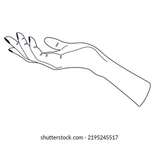 Women's hands. Female hands with various gestures. Perfect for logos, prints, patterns, posters and other designs. Vector illustration fashionable minimalistic linear style.