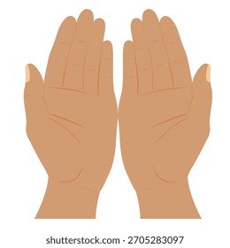Mãos femininas, palmas para cima, desenho vetorial. Mãos humanas em um fundo branco.