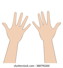 Women's hands, palms up. Vector.