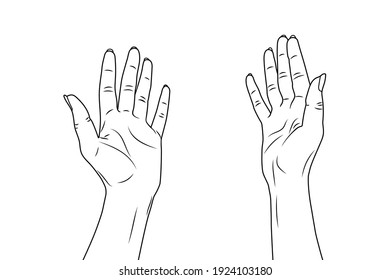 1,643,116 Hand Vector Outline Images, Stock Photos & Vectors | Shutterstock