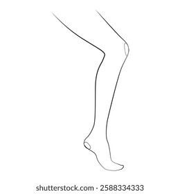 Women's leg one line drawing on white isolated background