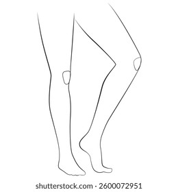Women's legs line drawing on white isolated background