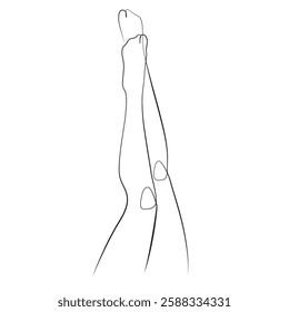 Women's legs one line drawing on white isolated background