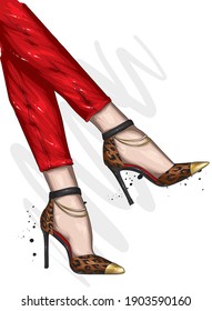 Women's legs in stylish high-heeled shoes and trousers. Fashion and style, clothing and accessories. Vector illustration.
