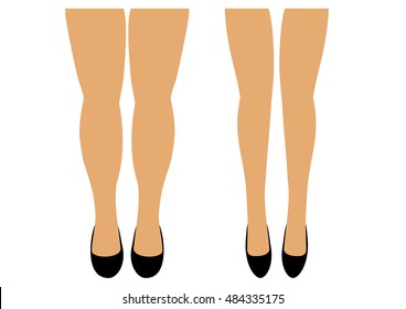 Women's legs two pairs of thin and full vector illustration