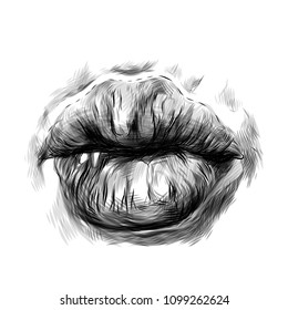 women's lips in the form of kissing, sketch vector graphics monochrome illustration