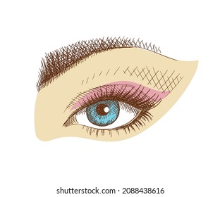 Women's makeup: eyes with long eyelashes and eyebrows, hand-drawn.