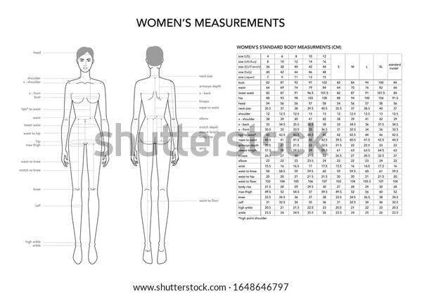 Womens Measurements Fashion Terminology Illustration Lady Stock Vector Royalty Free 1648646797