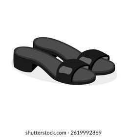  Women's Shoes, Women Sandal isolated on white background