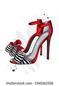 Women's stylish high-heeled shoes and trousers. Fashion and style, clothing and accessories. Vector illustration.
