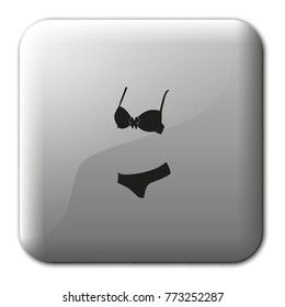 Women's underwear flat vector icon.