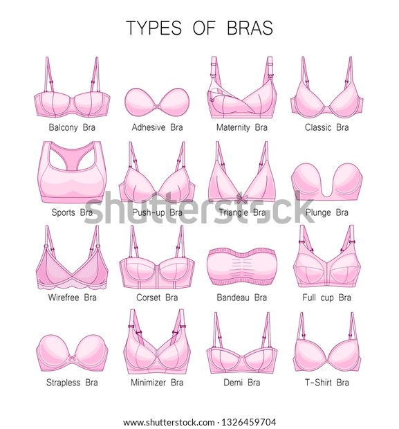 Womens Underwear Types Bras Set Pink Stock Vector (Royalty Free) 1326459704