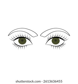A wonderful abstract woman eyes, long eyelashes, eyebrows  and vector illustration line drawing with different type of  eyes.