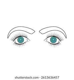 A wonderful abstract woman eyes, long eyelashes, eyebrows  and vector illustration line drawing with different type of  eyes.