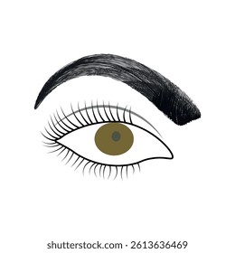 A wonderful abstract woman eyes, long eyelashes, eyebrows  and vector illustration line drawing with different type of  eyes.