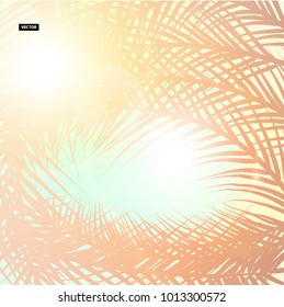 Wonderful background. Summer time. Colorful palm leaves