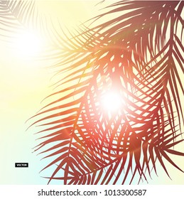 Wonderful background. Summer time. Colorful palm leaves